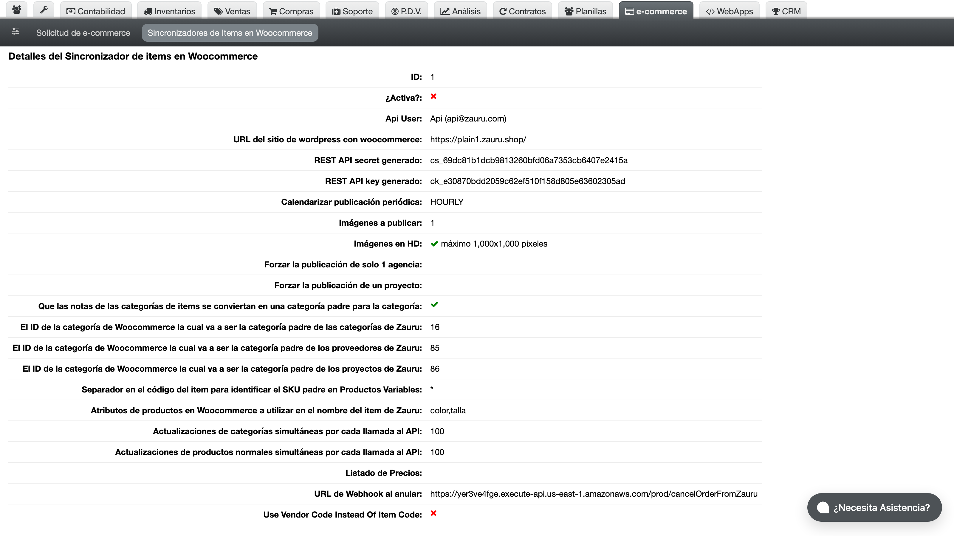 Vista de detalle de una sincronización WooCommerce existente