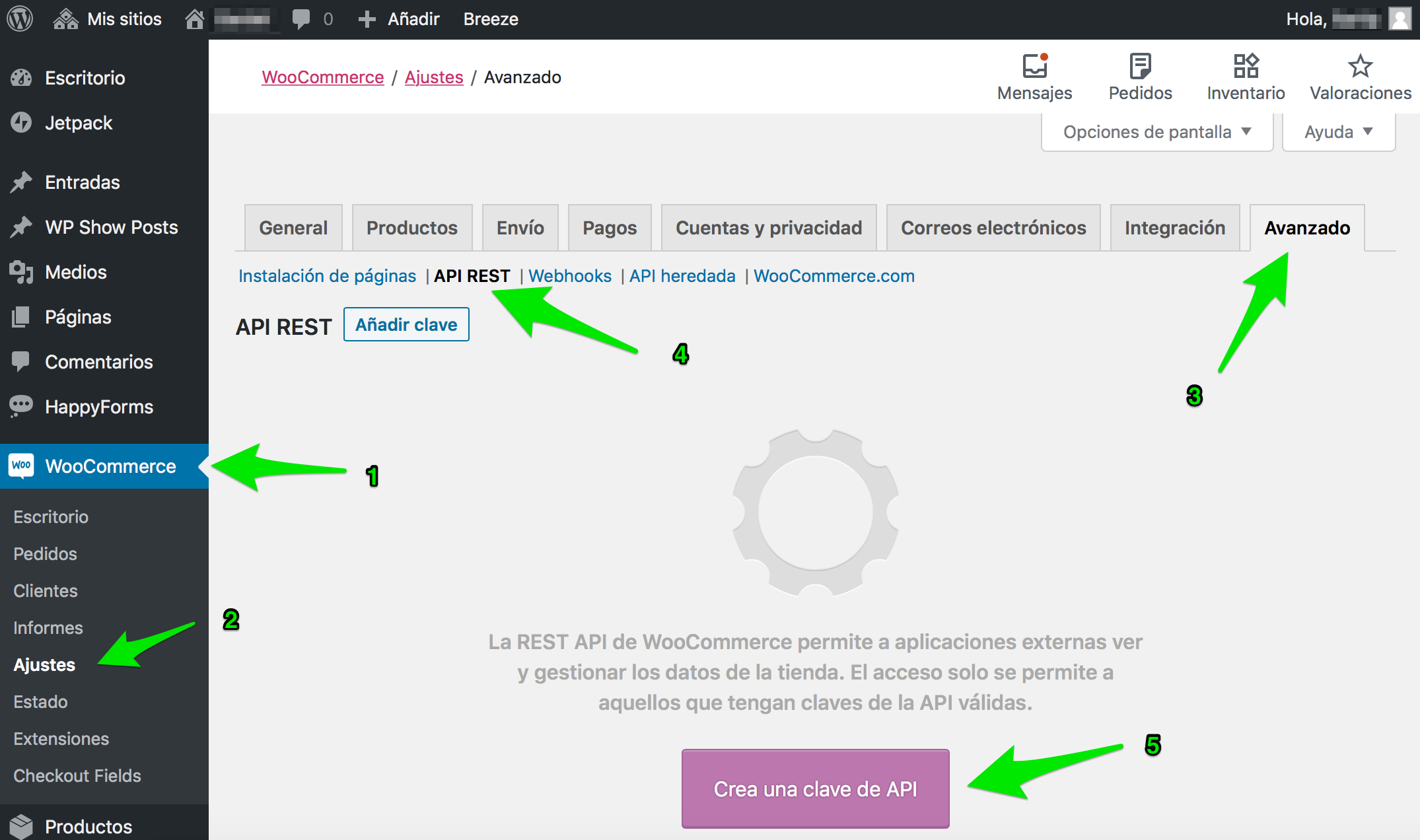 entrar a crear API